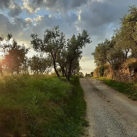 Holiday home Podere Piagge