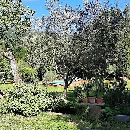 Holiday home Podere Piagge *