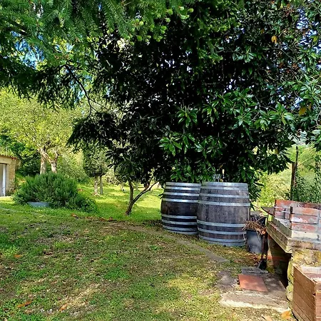 Podere Piagge * ريغلو